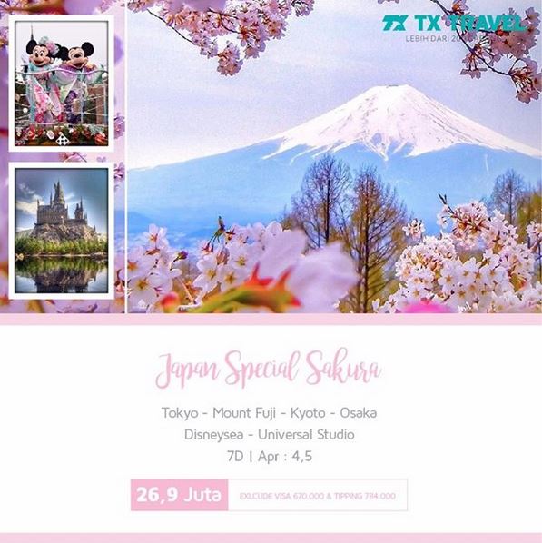  Japan Special Sakura Package from TX Travel February 2018
