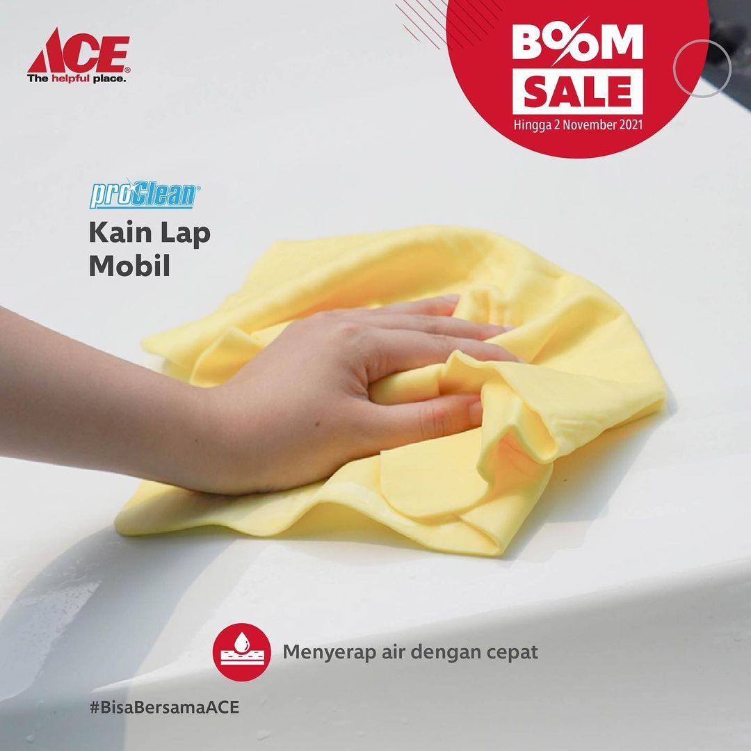  Boom Sale ProClean Car Washer at Ace Hardware October 2021